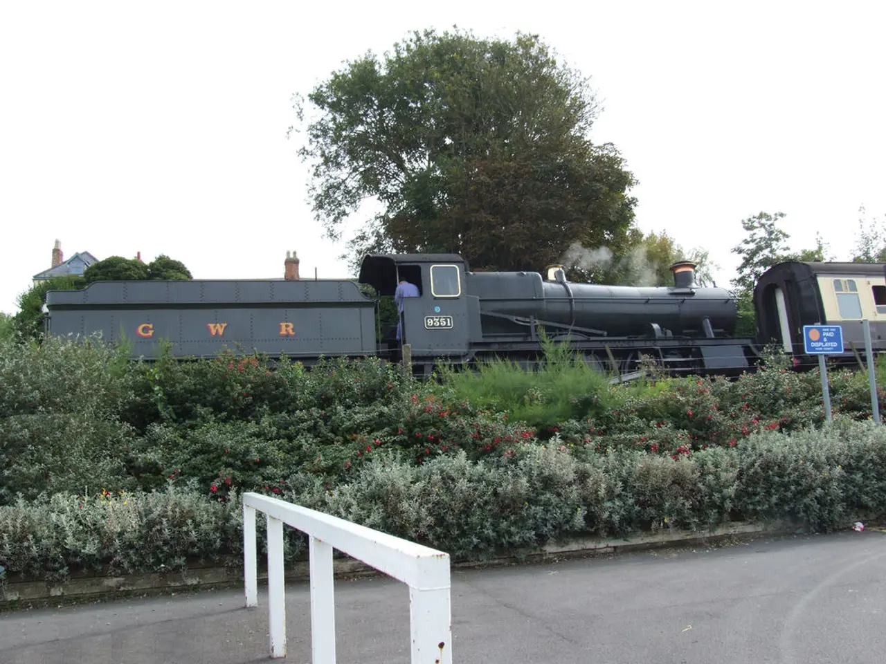 There is a fencing on the road at the bottom of this image, and there are some plants in the...