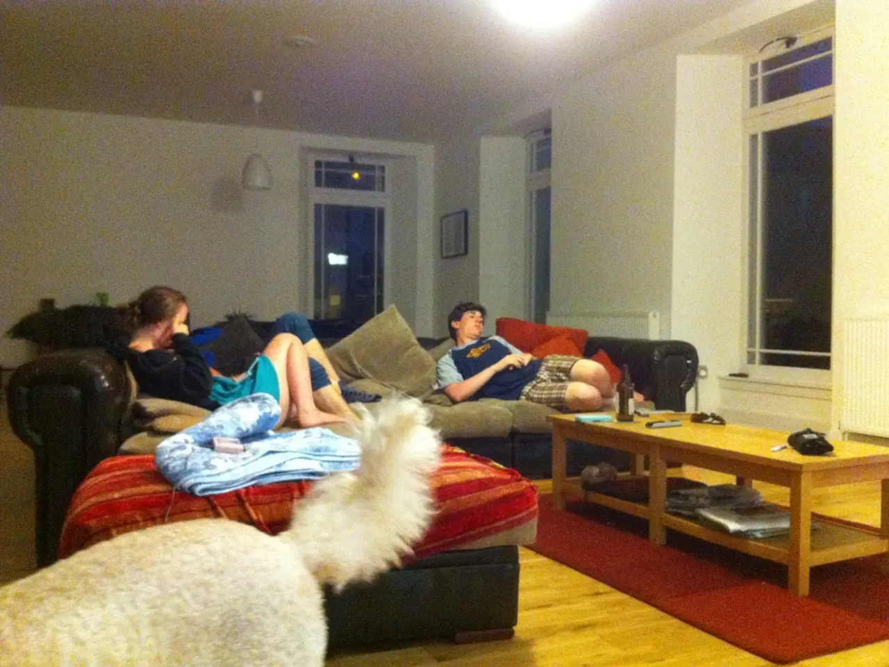 This image consists of sofas, tables, doors, Windows. There is light on the top and there is a dog...