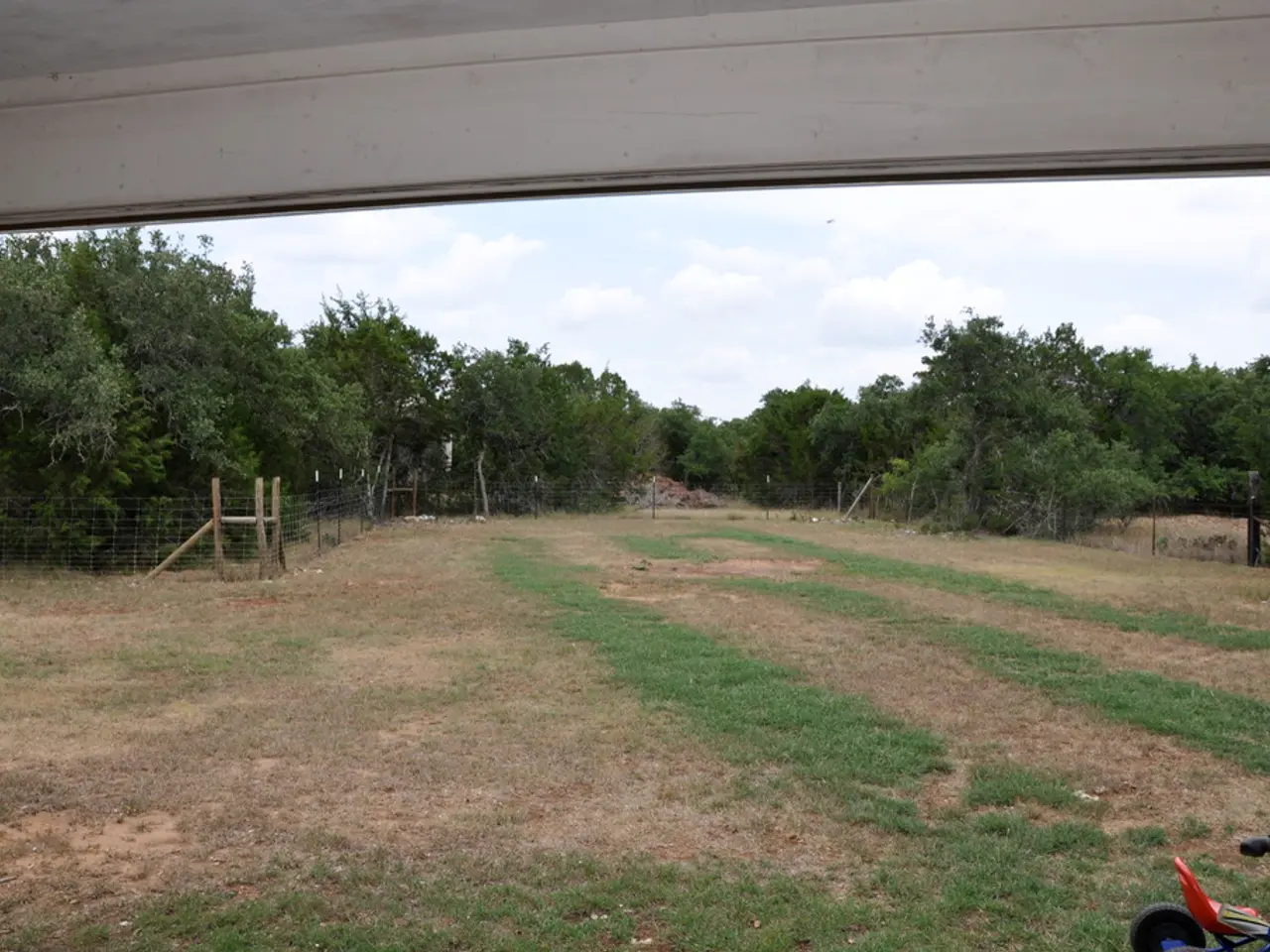 There is an open land with grass over it and around the land there is a fencing. Behind the fencing...