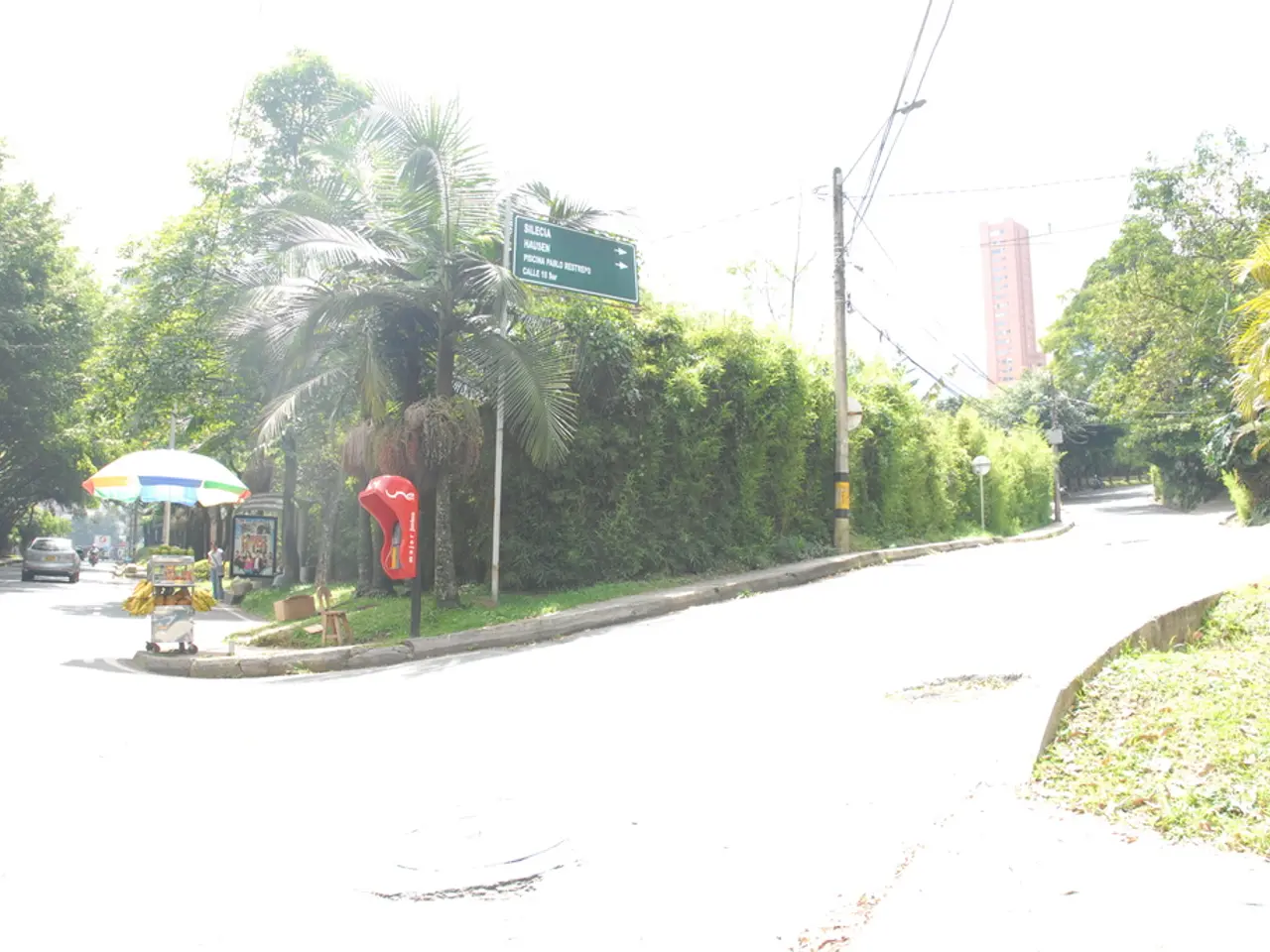 In this image we can see sign board, electric poles, electric cables, creepers, trees, stall under...