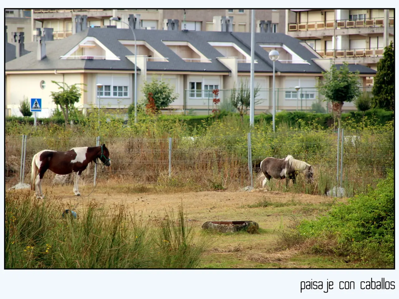 In this image there are buildings truncated towards the top of the image, there is a board, there...