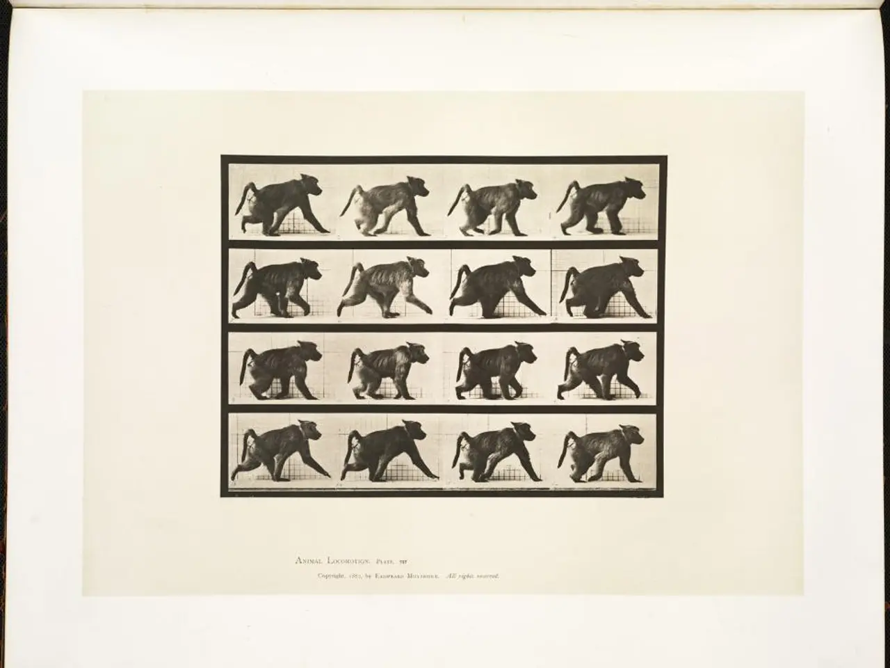 Here we can see poster of animal.