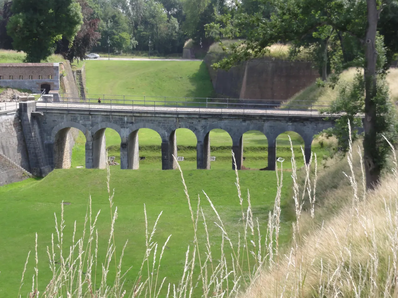 The image shows a viaduct, a stone bridge with arches and pillars, spanning a lush green field with...