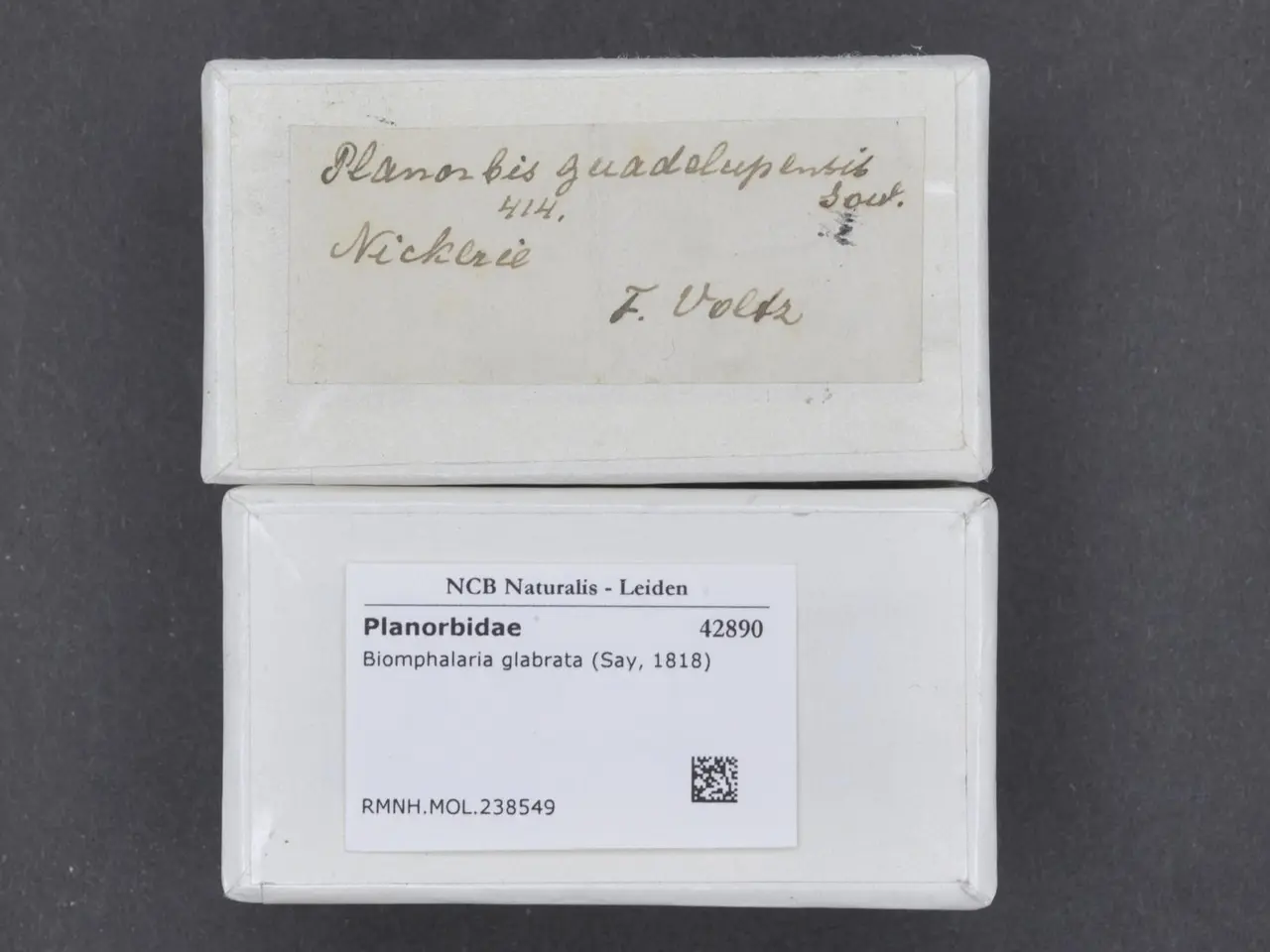 The image shows a pair of white business cards sitting on top of each other on a black surface. The...