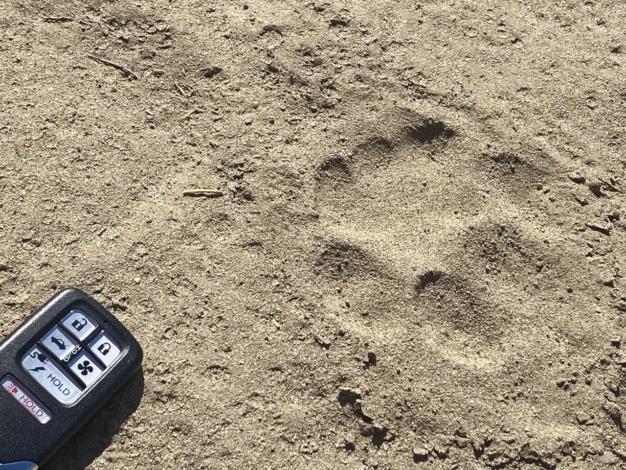 The image shows a car key sitting on top of a dirt field next to a remote control, indicating that...