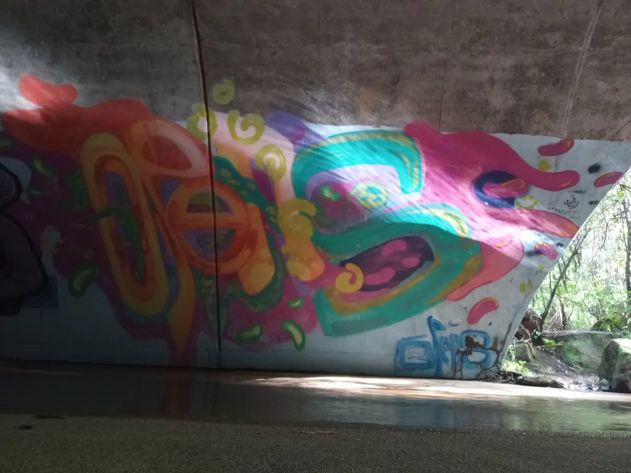 The image shows a bridge with graffiti on the side of it, surrounded by trees and rocks. The...