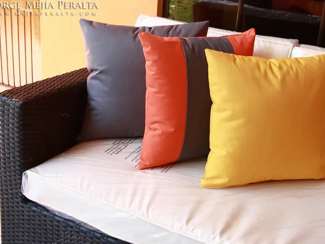 In this image in front there is a sofa. On top of the sofa there are pillows. Behind the sofa there...