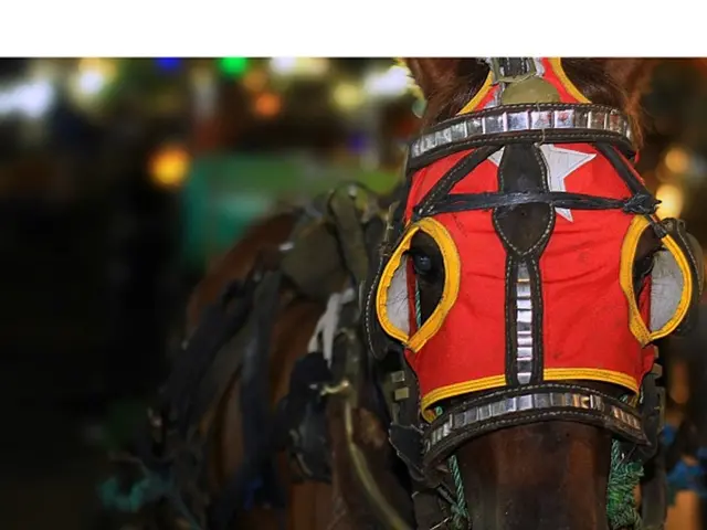 In the center of the image there is a house on the floor.