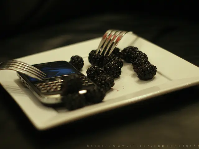 In this image, there is a plate contains blackberries, forks and phone.