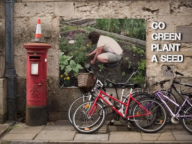 In this image we can see bicycles. There is a postbox on which there is a safety cone. In the...