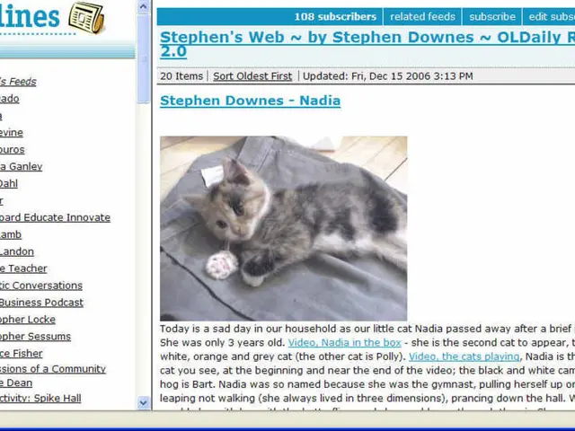 In this image we can see a picture of a blog with some texts on it, also we can see a cat on a...