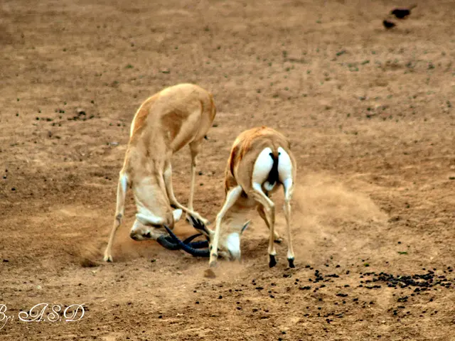 In this picture there are two deer standing. At the back there are birds. At the bottom there is...