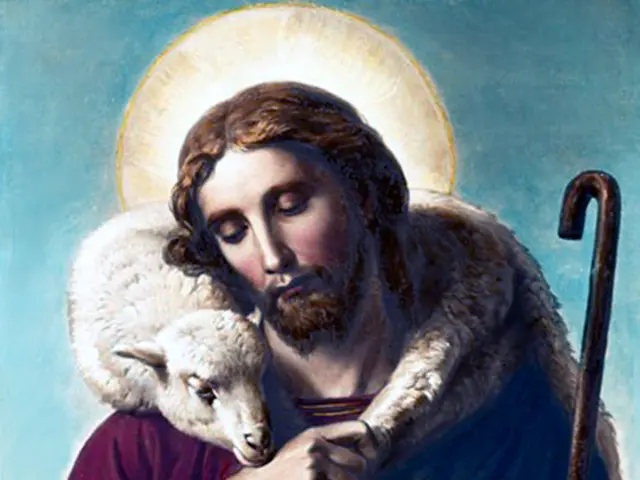 Background portion of the picture is in blue, yellow and cream color. In this picture we can see a...