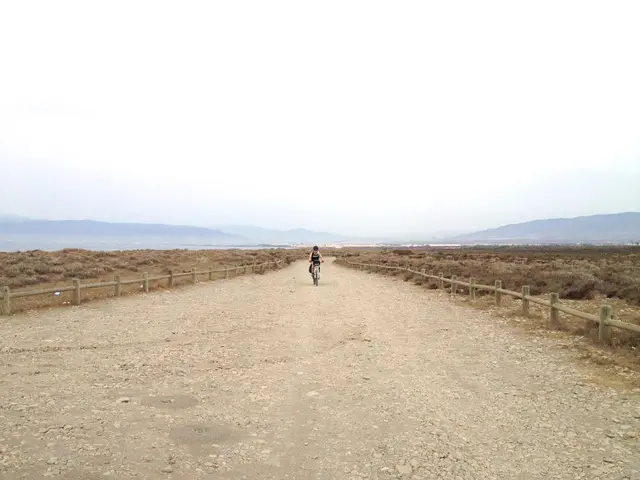 There is a plain road, a person is moving on a vehicle on the road, there is a fencing on the...