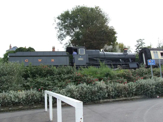 There is a fencing on the road at the bottom of this image, and there are some plants in the...