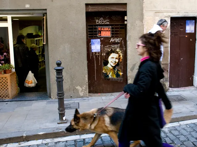 In this image there is a girl who is taking her dog for a walk on the road. At the background there...
