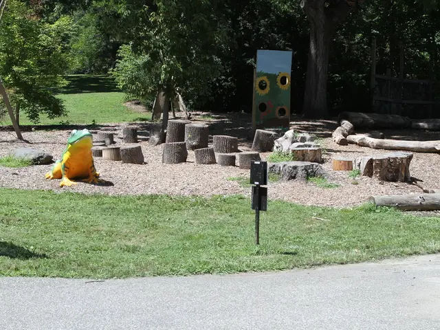 In this image there are trees, grass, branches, boards, frog, road and objects.