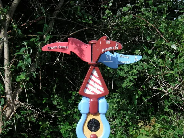 We can see boards on colorful stand and we can see grass and plants.