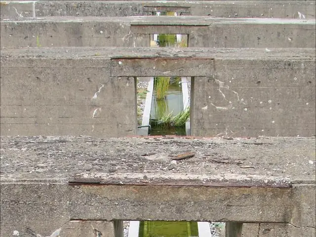 In this picture there is a small water harvest pit. Above we can see the brown color brick bridges....