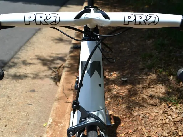 In this picture it looks like a cycle in the middle, on the left side I can see a road.