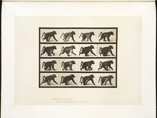 Here we can see poster of animal.