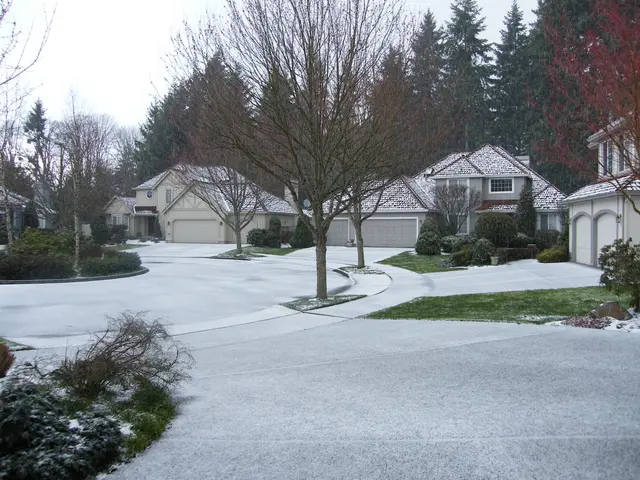 This image contains few trees and plants, grassland are on the pavement. Behind it there are few...