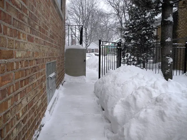 In this image, on the left, there is a wall and in the background, there are sheds, trees, grilles...