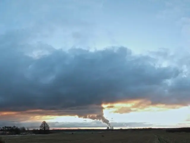 Here we see cloudy sky and factory tunnel releasing smoke and few trees and few plants on the right