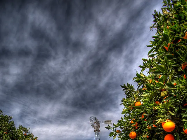 In this image there are a few plants with fruits, in the background there is a metal structure and...