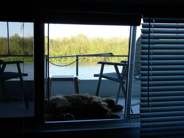 There are windows, window blinds, chairs, dog, water and grass.