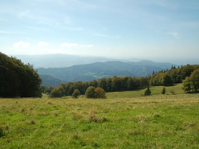 In the foreground of this image, there is a grassland. In the background, there are trees,...