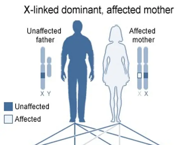 The image shows a poster with a diagram of a family tree, depicting the x-linked dominant and...