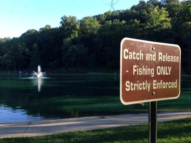 The image shows a lake with a sign that reads "Catch and Release Fishing Only Strictly Enforced" in...