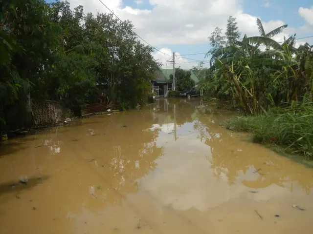 The image shows a flooded street in the middle of a rural area, with water covering the road,...