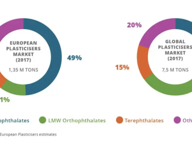 The image shows a pie chart depicting the global plastics market in 2017, with percentages and text...