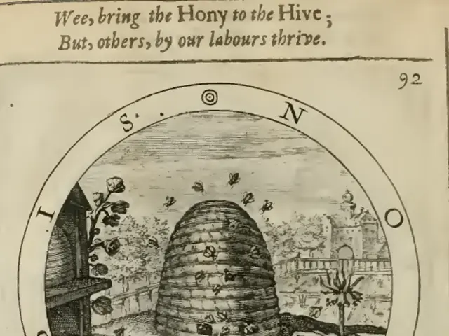The image shows an old book with a drawing of a beehive in the middle of it, surrounded by plants...