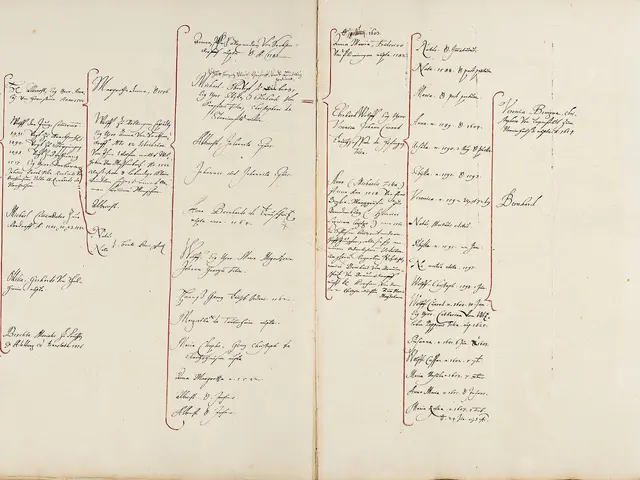 The image shows an open book with handwriting on it, which is likely a genealogical chart of the...
