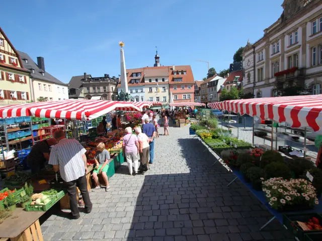 The image shows a bustling market in the old town of Heidelberg, Germany. There are many people...