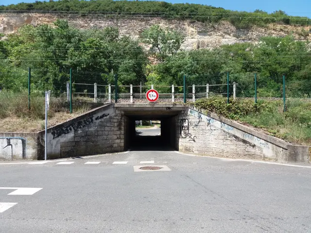 The image shows a tunnel with graffiti on the side of it, a road at the bottom, a sign board,...