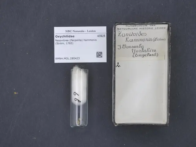 The image shows a small glass vial filled with a white substance, which appears to be oxychloride,...