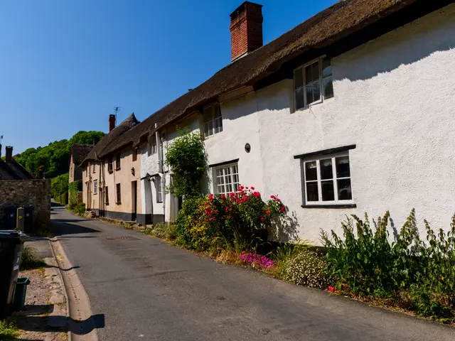 The image shows a street with a row of thatched cottages on either side, each with a window. There...