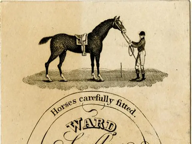 The image shows an old advertisement for Ward Saddler Whip & Harness Maker, featuring a horse and a...