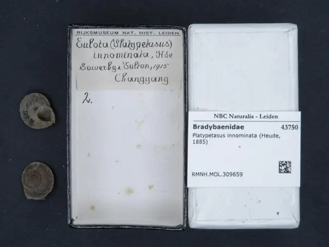 The image shows a small white box with a small piece of paper next to it on a black surface. The...