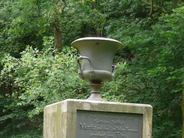 The image shows a stone monument in the middle of a forest, with text inscribed on it. Surrounding...