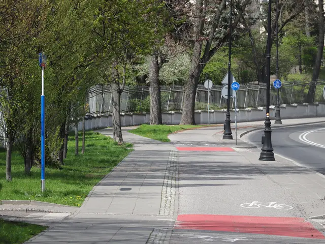 The image shows a city street with a bike lane on the side of it, surrounded by trees, poles, sign...