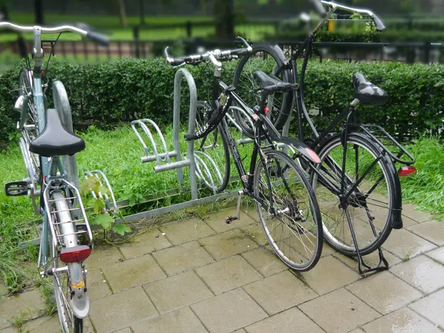 The image shows two bicycles parked next to each other on a sidewalk, surrounded by grass, plants,...