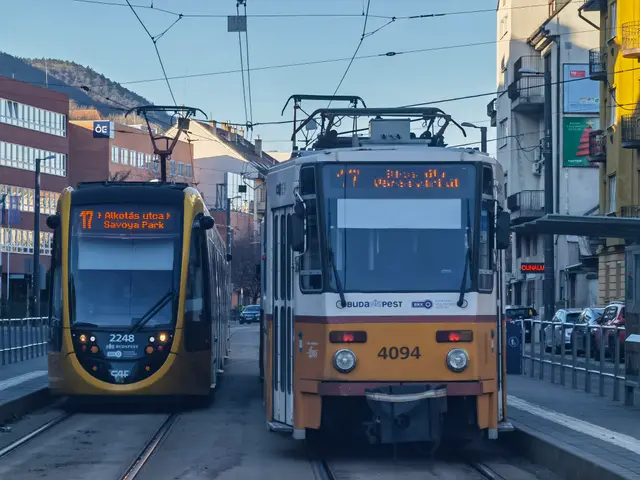 The image shows two yellow and white trams on a city street next to tall buildings. On the right...
