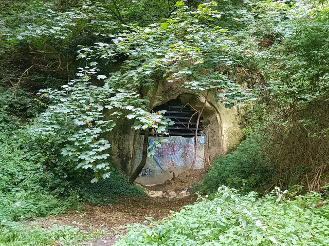 The image shows a tunnel in the woods with graffiti on it, surrounded by trees and plants. At the...