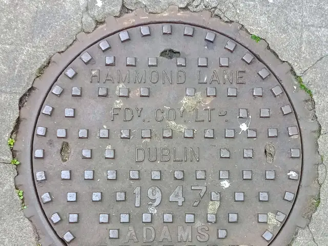 The image shows a manhole cover on the side of a street in Dublin, Ireland. The cover is made of...