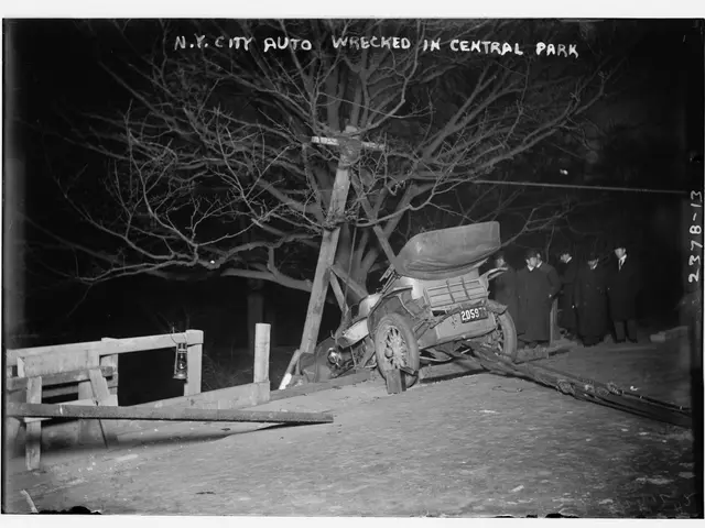 The image shows a black and white photo of a car that has crashed into a tree in Central Park....